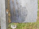 image of grave number 848555